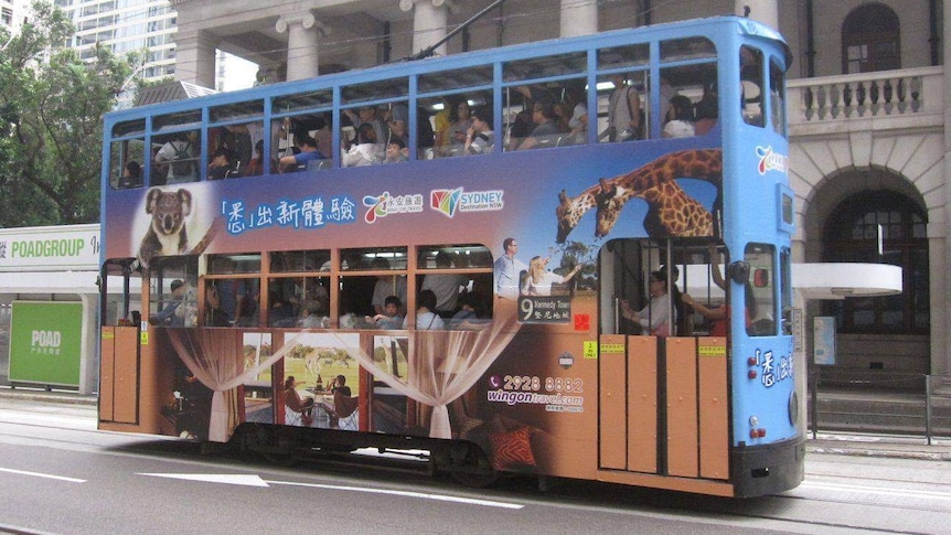 Mudgee on Hong Kong trams