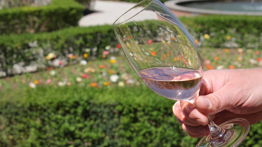 Person holds a glass of Rosé at All Saints Winery in Wahgunyah, Victoria