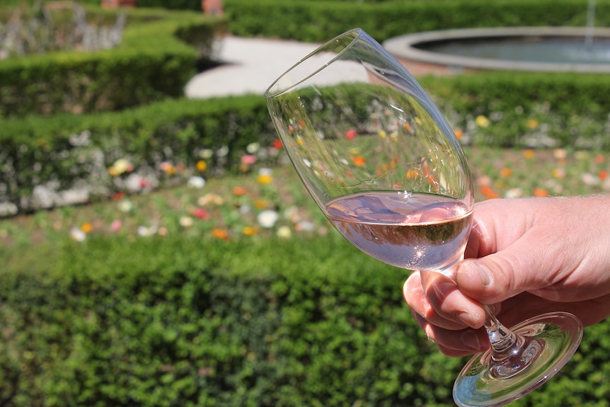 Person holds a glass of Rosé at All Saints Winery in Wahgunyah, Victoria