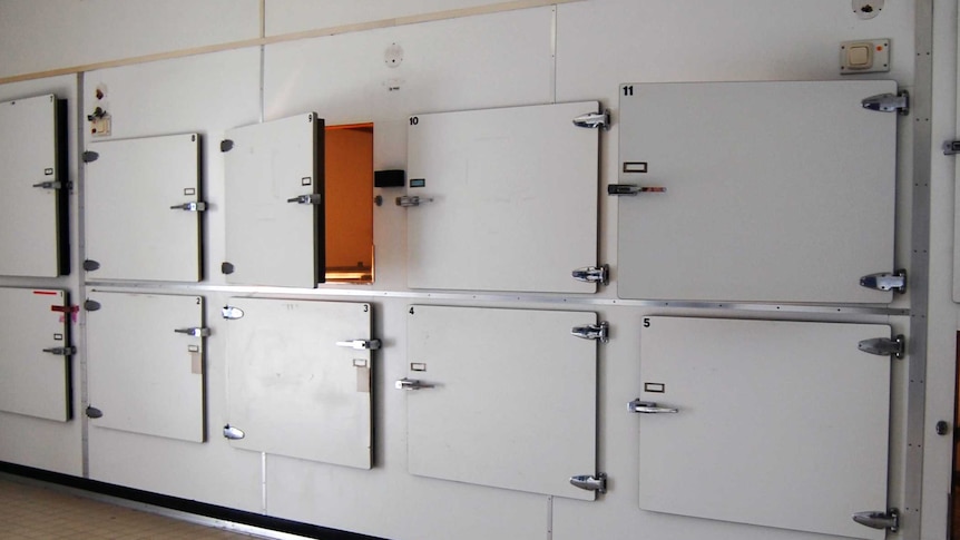 A row of drawers in a white wall.