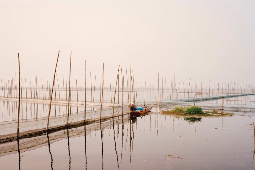 Views of a large aquafarm in China.