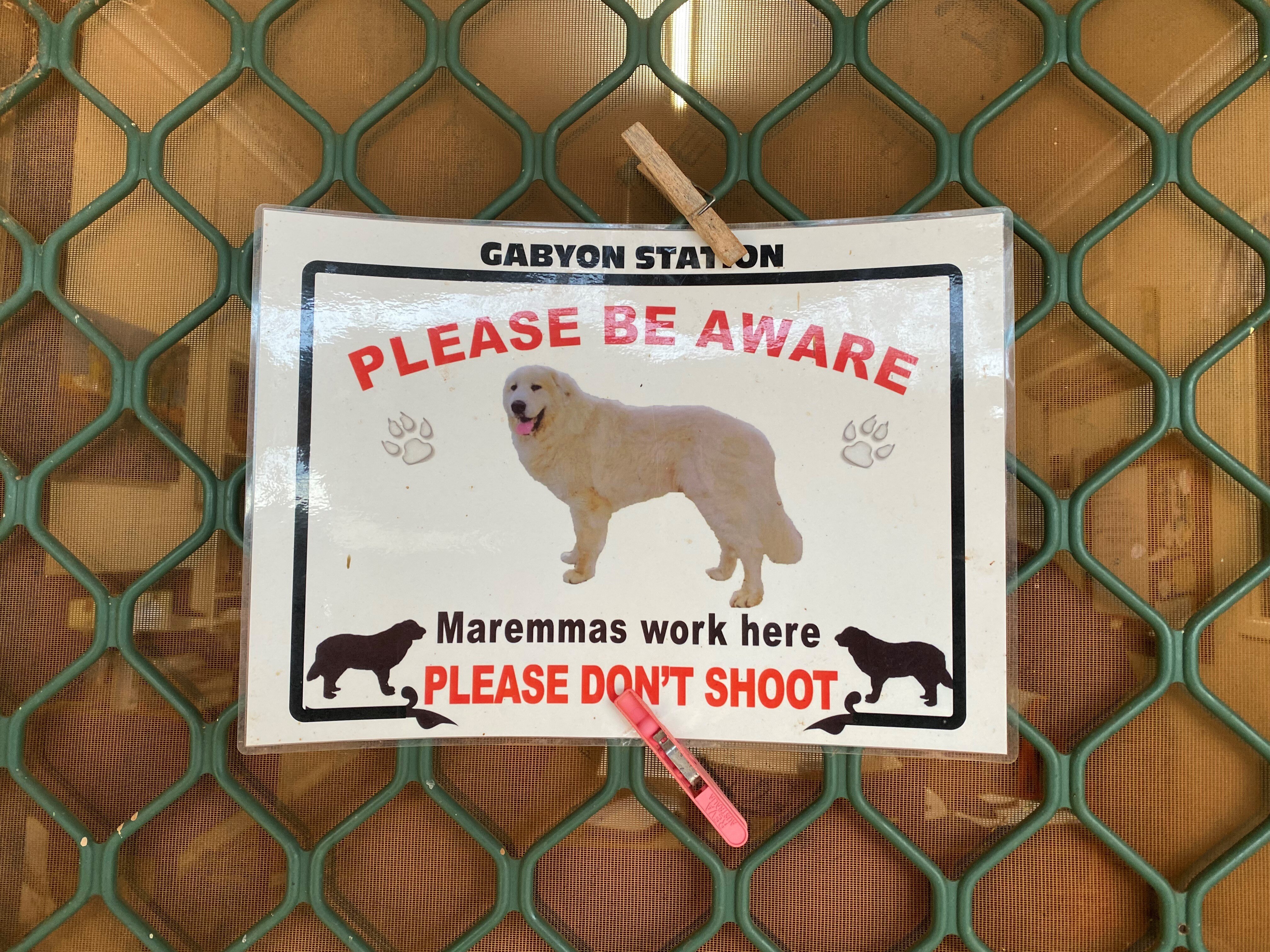 A sign saying maremmas work here please don't shoot