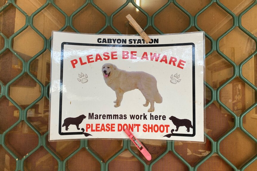 A sign saying maremmas work here please don't shoot