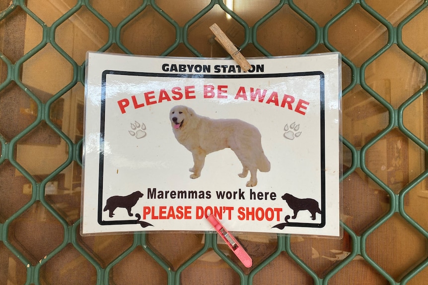 A sign saying maremmas work here please don't shoot