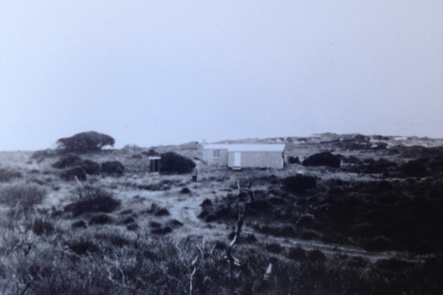 Popowski family shack in the 1960s in Nelson Bay, West Coast Tasmania
