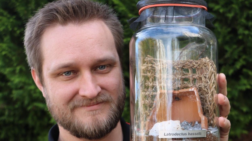 Image of spider expert Ben Shoard holding a large sealed  jar with a female Australian Red Back Spider inside.