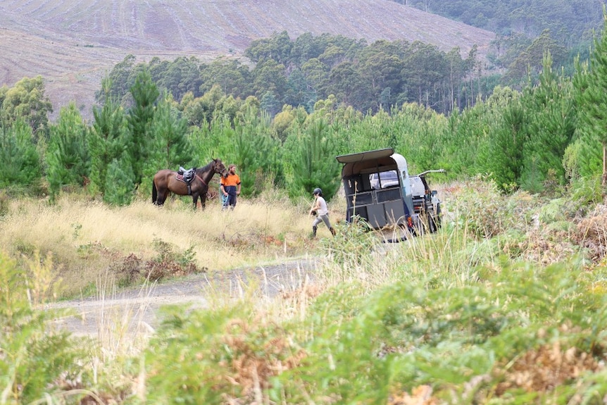 A man holds a horse as a woman walks past a horse float in a bush setting