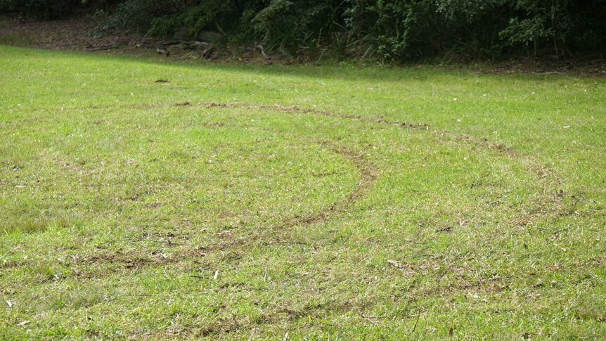 An open, grassed area with tyre marks on it.