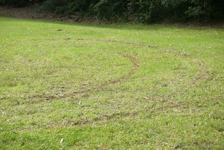 An open, grassed area with tyre marks on it.