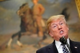 Donald Trump speaks in front of a painting