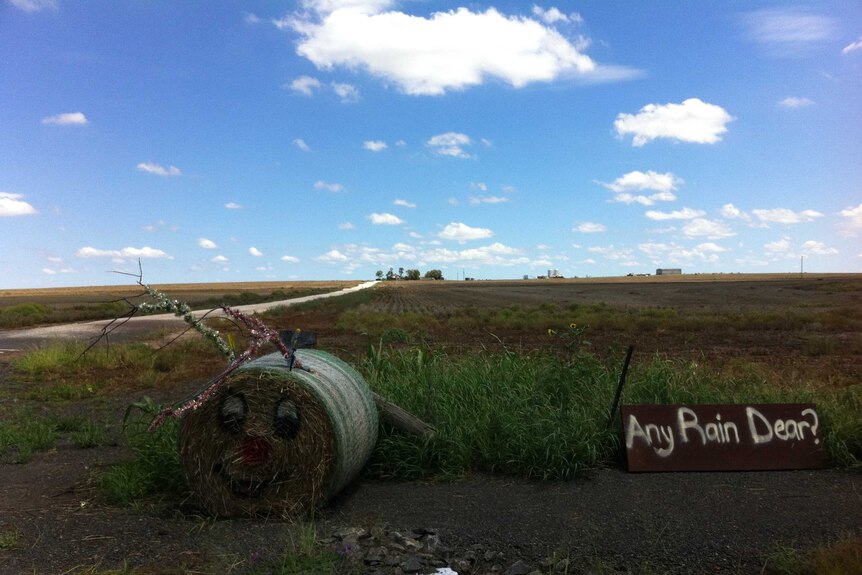 Decorated bale of hay next to sign that asks, 'Any rain dear?'