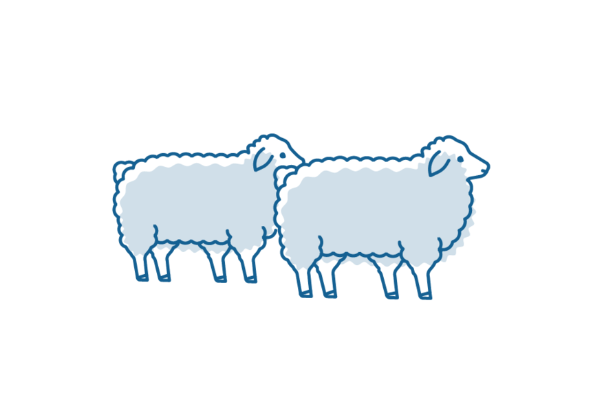 Icon illustration of two woolly sheep.