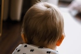 A baby faces away from the camera showing only the back of his head.