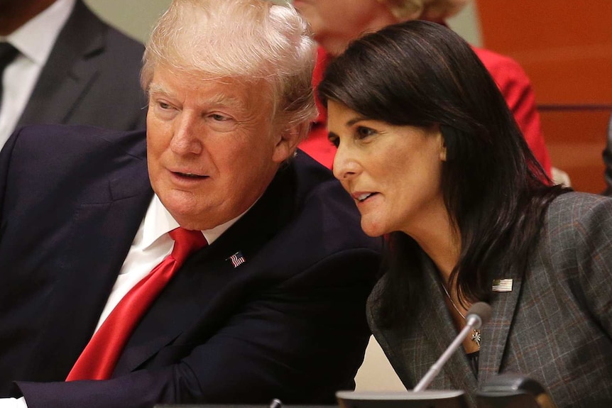 Donald Tump and Nikki Haley lean together to talk behind a desk at the UN.