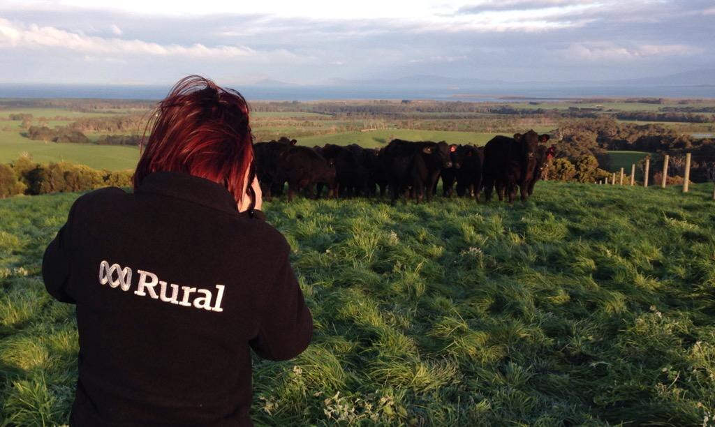 Record high beef prices challenge South Gippsland paddock-to-plate ...