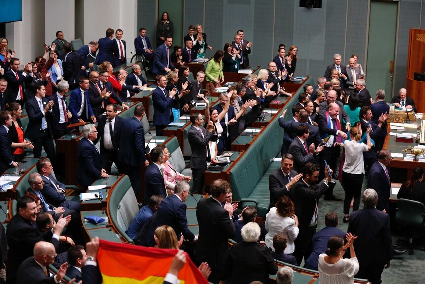 The House of Representatives celebrates the vote for same-sex marriage