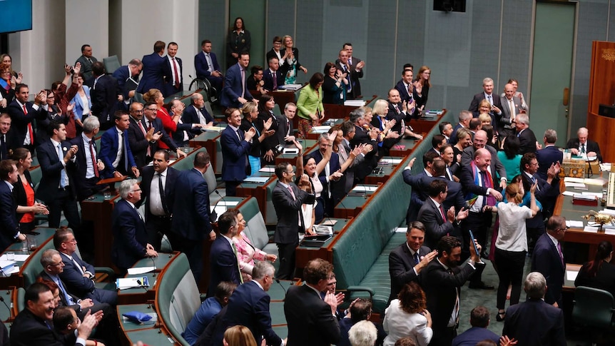 The House of Representatives celebrates the vote for same-sex marriage