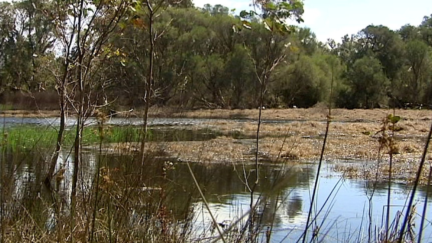 Environmental groups are concerned about the impact of the extension on the Beeliar Wetlands.