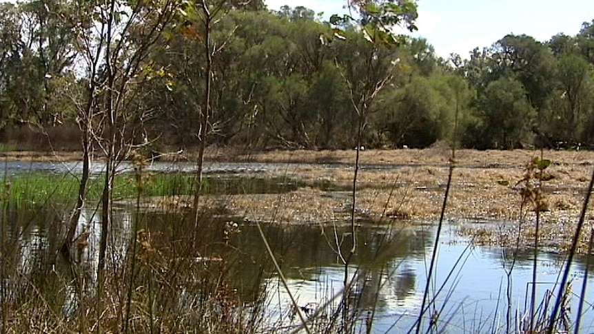 beeliar wetlands 20/09/2013