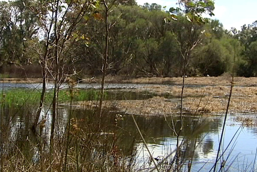 beeliar wetlands 20/09/2013