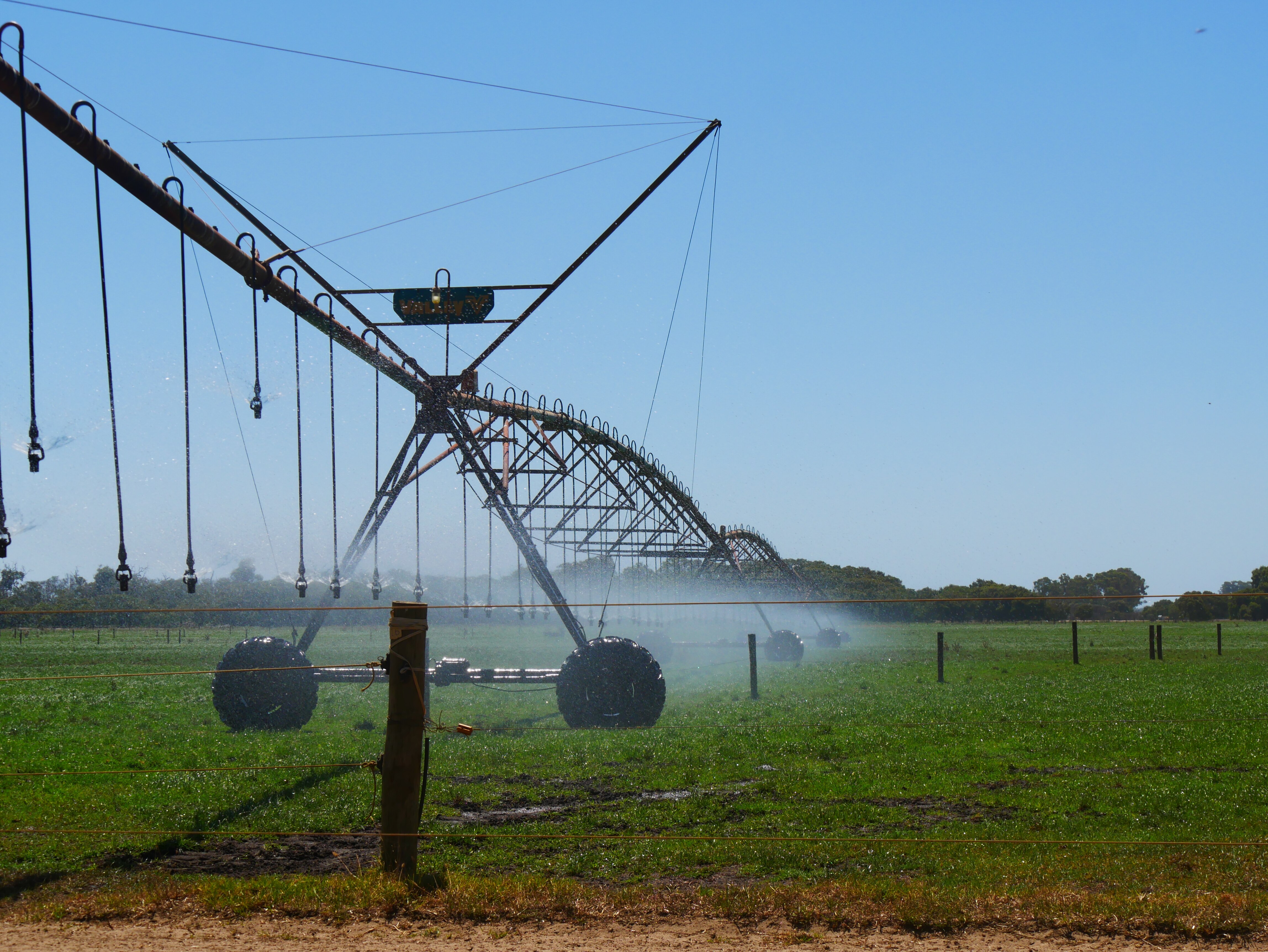 Crop being irrigated.