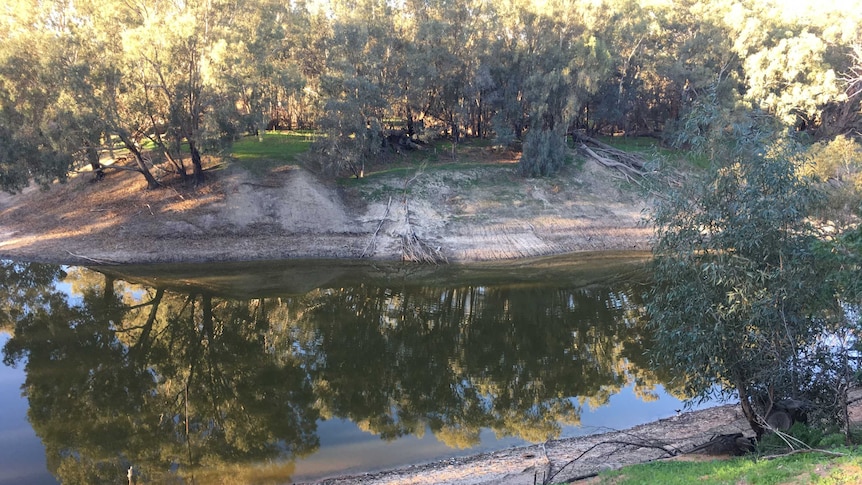 Still water in the Darling River in western New South Wales