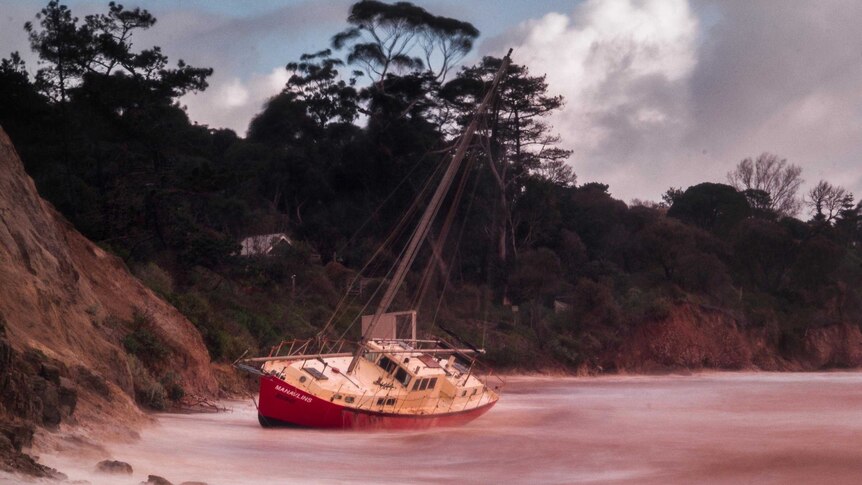 A yacht sits high and dry at Daveys Bay after being blown onto the beach during wild weather.