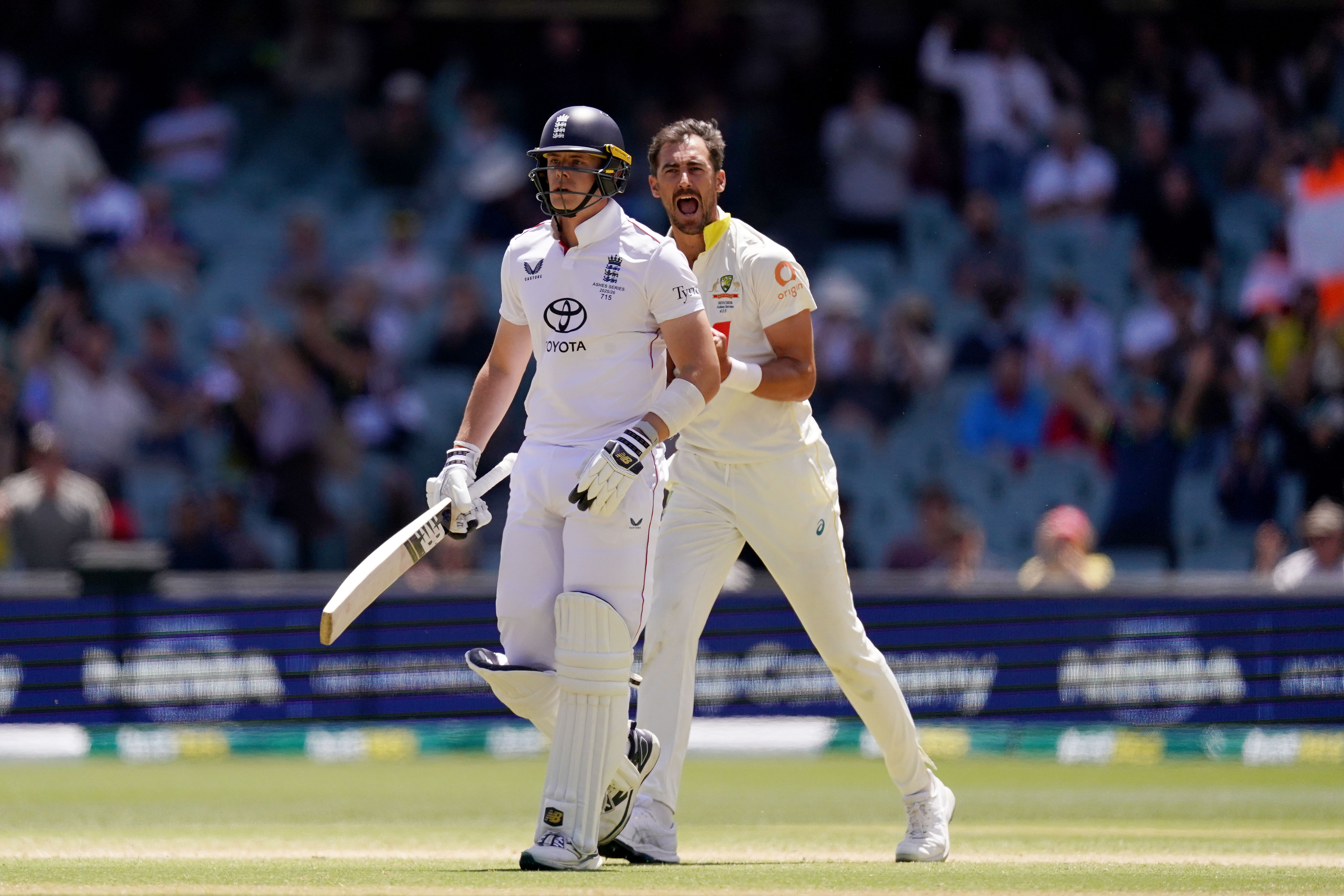 Mitch Starc le grita a Jamie Smith