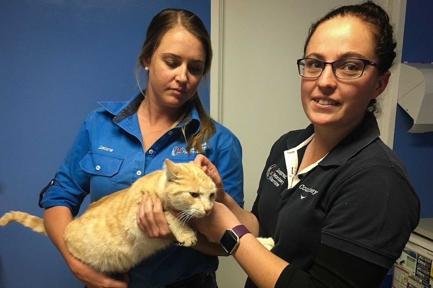 Two young women hold a ginger cat.