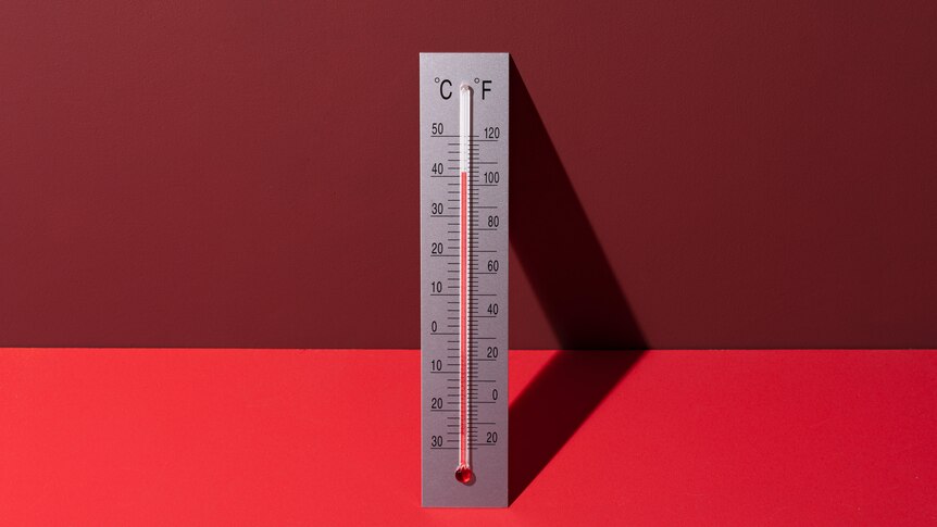 Image of a thermometer measuring the temperature, which is over 40 degrees celsius. 