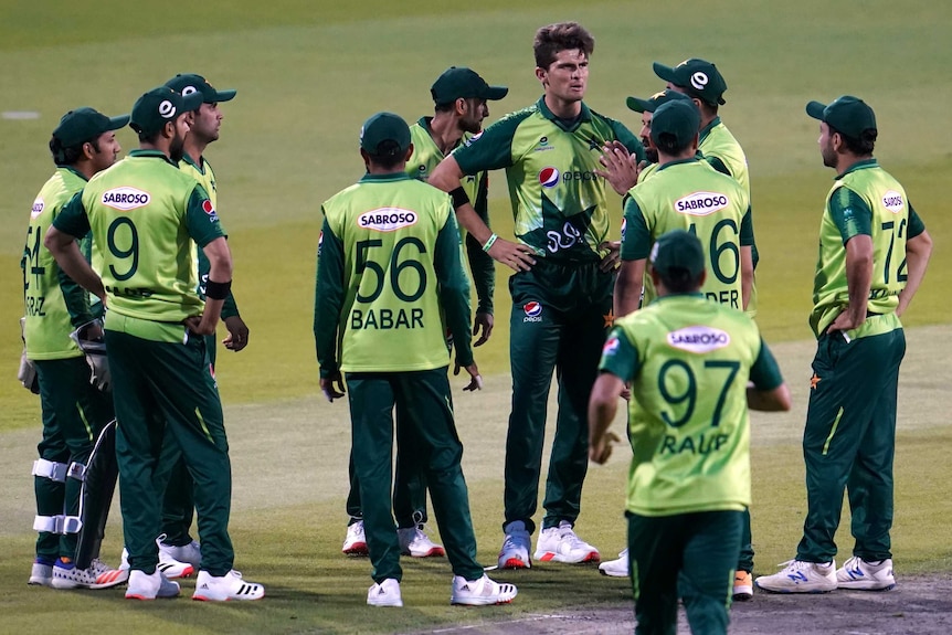 A group of Pakistan cricketers stand around after a wicket was taken against England.