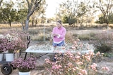 A woman stands at a table outside surrounded by buckets of pink and white Geraldton Wax flowers.
