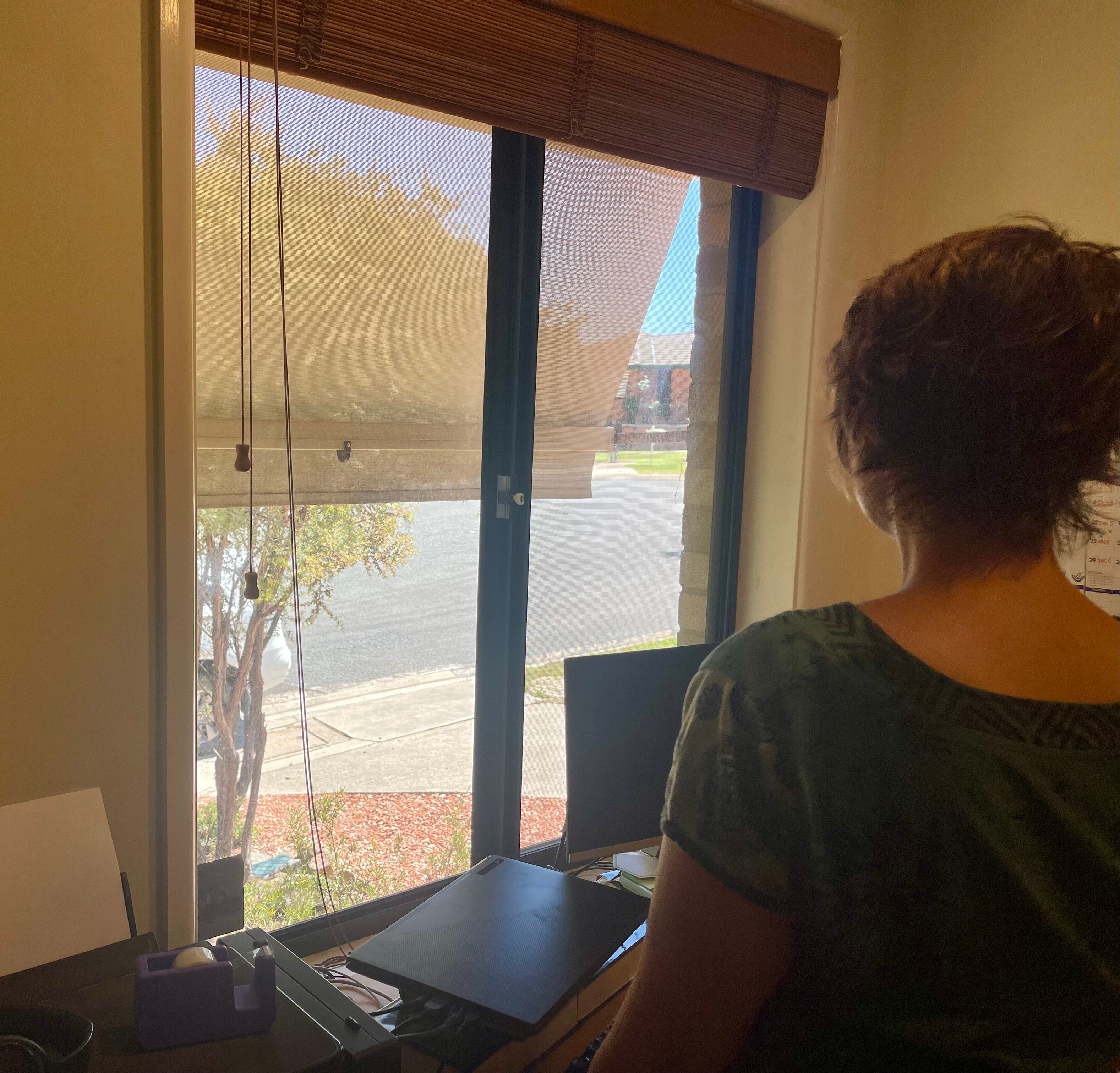 A woman in a green blouse looks out her front window at the street.