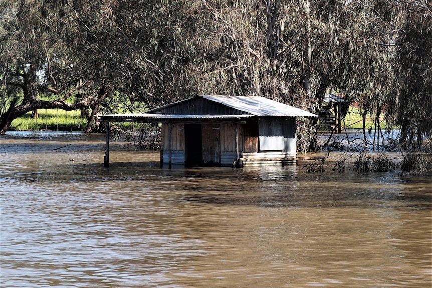 A shack half submerged in floodwaters.