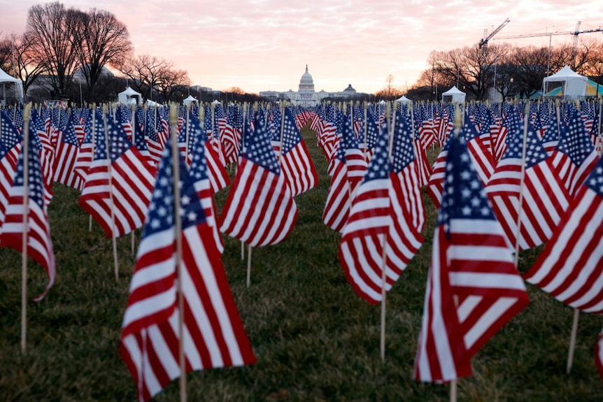 A close up of American flags with the Capitol in the distance