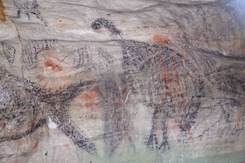 Charcoal art inside in a cave showing drawings of the whale tail and emus on sandstone wall.