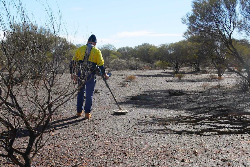 Back view of man prospecting in Murchison region WA