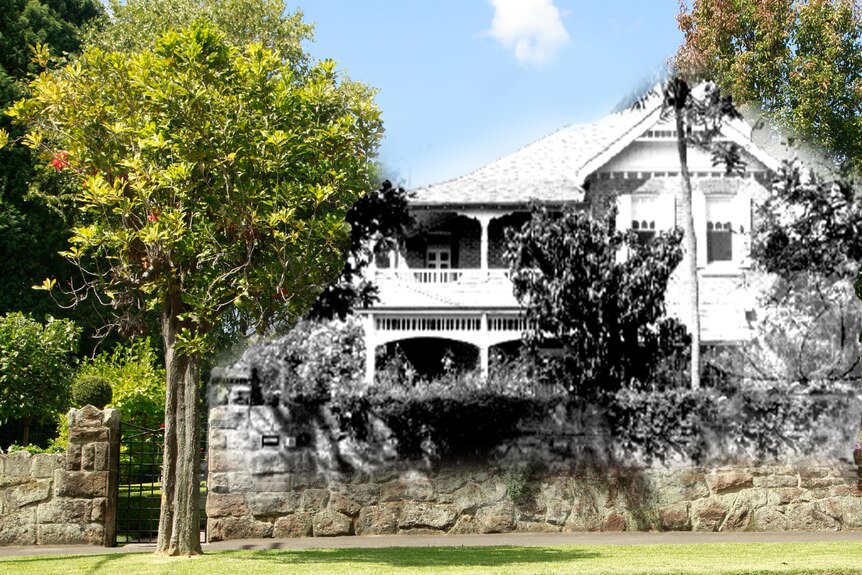 an illustration of a heritage house in black and white and a tree in colour