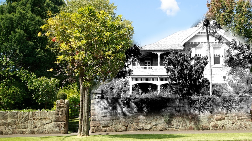 an illustration of a heritage house in black and white and a tree in colour