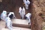 Workers in white ppe suits place wooden coffins in a large hole in the earth. 