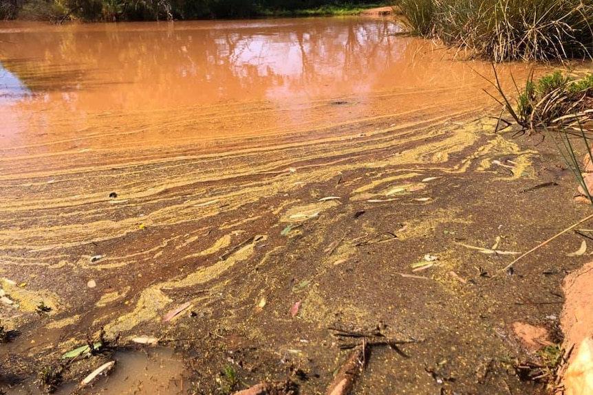 Orange creeks with oil on the creekbed