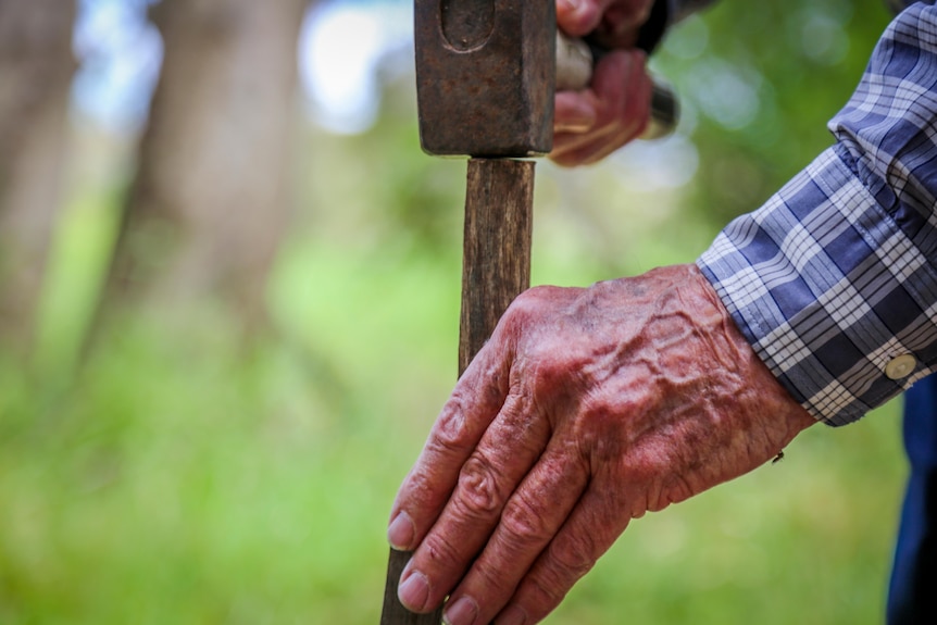 A man's hand holds a small wooden stake - the kind used to plant trees - as he hammers it into the ground