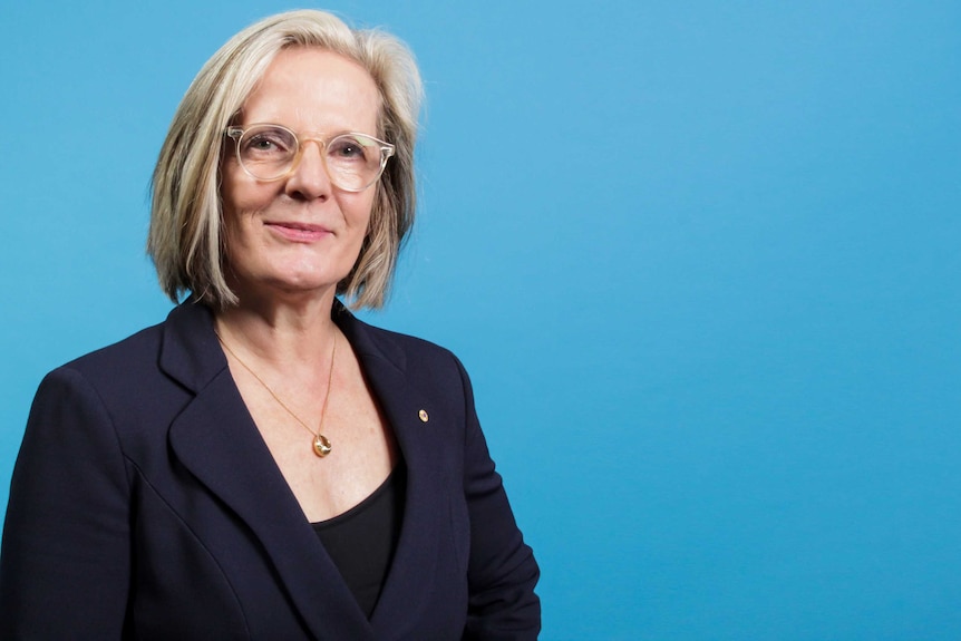 Lucy Turnbull, the chief commissioner of the Greater Sydney Commission.