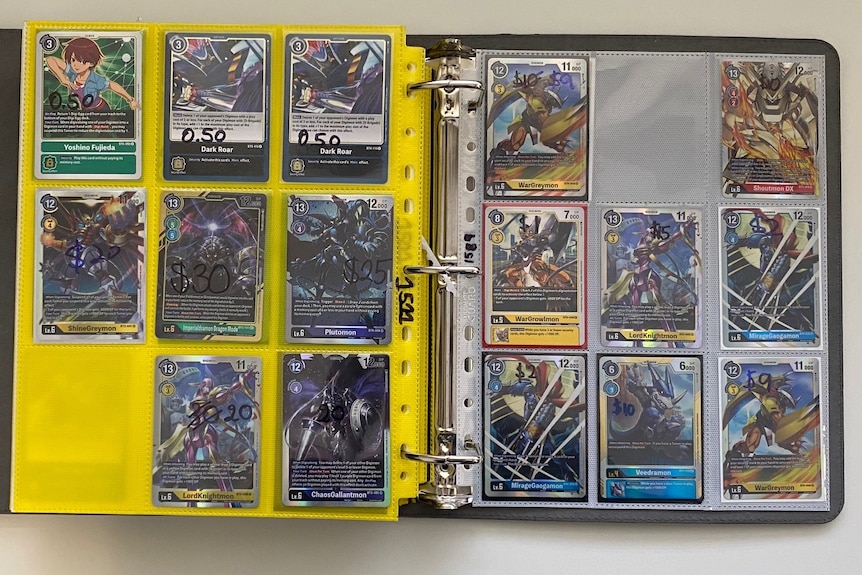 A folders with trading cards inside