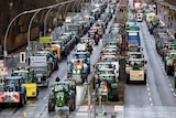 Rows of tractors line a city street