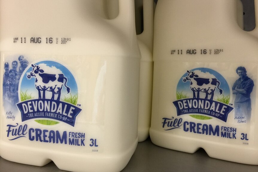 big bottles of milk sit on a refrigerated supermarket shelf