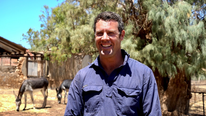 Farmer Ben Royce has invested in two donkeys to protect his sheep from dog attacks. 