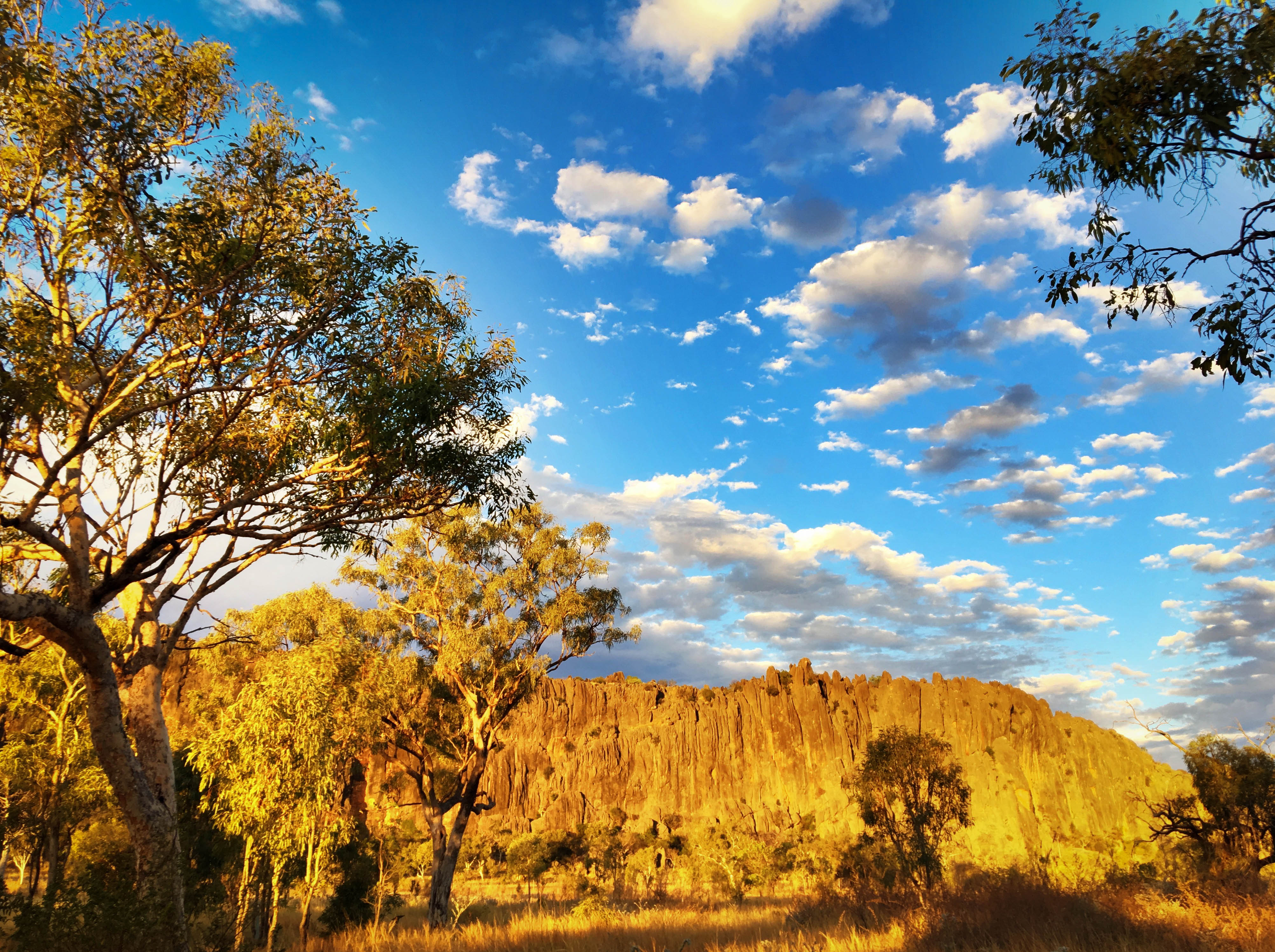 Blue sky mottled with small white clouds and below the Kimberley natural monument of Windjana Gorge surrounded by trees