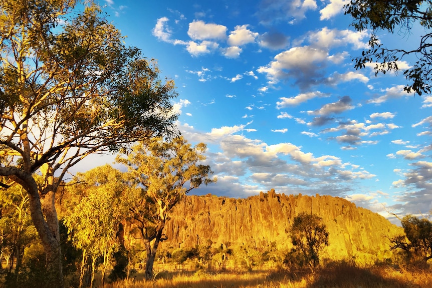 Blue sky mottled with small white clouds and below the Kimberley natural monument of Windjana Gorge surrounded by trees