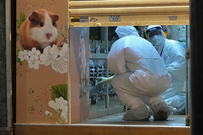 Men in protective clothing suits stand near a pet cage next to a large hamster sign.
